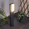 Skove Poste de Jardín LED Antracita, 1 luz, Sensor de movimiento