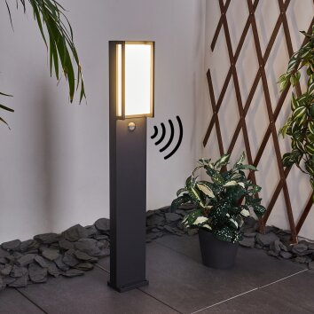 Skove Poste de Jardín LED Antracita, 1 luz, Sensor de movimiento