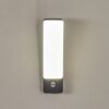 Maseru Aplique para exterior LED Antracita, 1 luz, Sensor de movimiento