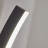 Maseru Aplique para exterior LED Antracita, 1 luz