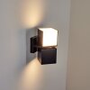 Swanek Aplique para exterior LED Negro, 1 luz