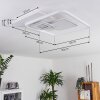 Panchita Lámpara de Techo LED Blanca, 1 luz, Mando a distancia