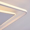 Panchita Lámpara de Techo LED Blanca, 1 luz, Mando a distancia