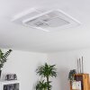 Panchita Lámpara de Techo LED Blanca, 1 luz, Mando a distancia