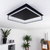 Taxmido Lámpara de Techo LED Negro, 1 luz
