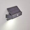 Wiborg Aplique para exterior LED Antracita, 1 luz, Sensor de movimiento