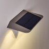 Lámpara solar Camden LED Gris, 1 luz, Sensor de movimiento