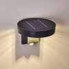 Aplique para exterior Townsville LED Negro, 1 luz, Sensor de movimiento