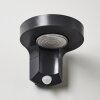 Aplique para exterior Townsville LED Negro, 1 luz, Sensor de movimiento