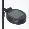 Rovinj Lámpara solar LED Cobre, Negro, 1 luz