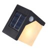 Globo Solar Aplique para exterior LED Negro, 8 luces, Sensor de movimiento