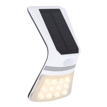 Globo Solar Aplique para exterior LED Negro, 1 luz, Sensor de movimiento