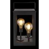 Globo Lámpara solar LED Negro, 2 luces