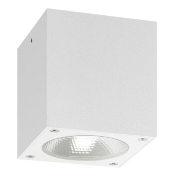 LCD 5029 Lámpara de techo para exterior LED Blanca, 1 luz
