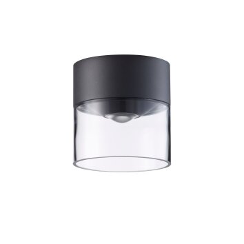 LCD 5068 Lámpara de techo para exterior LED Negro, 1 luz