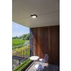 Lutec Helena Lámpara de techo para exterior LED Antracita, 1 luz