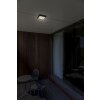 Lutec Helena Lámpara de techo para exterior LED Antracita, 1 luz