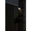 Lutec Fele Aplique para exterior LED Antracita, 1 luz