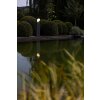 Lutec Fele Poste de Jardín LED Antracita, 1 luz