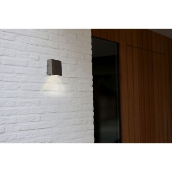 Lutec Gemini XF Aplique para exterior LED Acero inoxidable, 1 luz