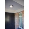 Lutec Rola Lámpara de techo para exterior LED Negro, 1 luz