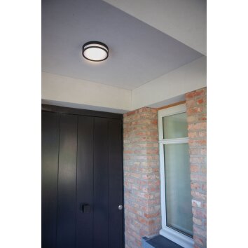 Lutec Rola Lámpara de techo para exterior LED Negro, 1 luz