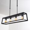 Foss Lámpara Colgante Negro, 4 luces