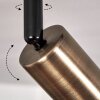 Baripada Lámpara de Techo Latón, Negro, 1 luz