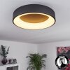 Pine Lámpara de Techo LED Negro, 1 luz
