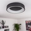 Pine Lámpara de Techo LED Negro, 1 luz
