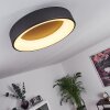 Pine Lámpara de Techo LED Negro, 1 luz