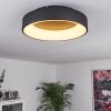 Pine Lámpara de Techo LED Negro, 1 luz