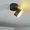 Papagayos Lámpara de techo para exterior LED Antracita, Blanca, 1 luz, Cambia de color