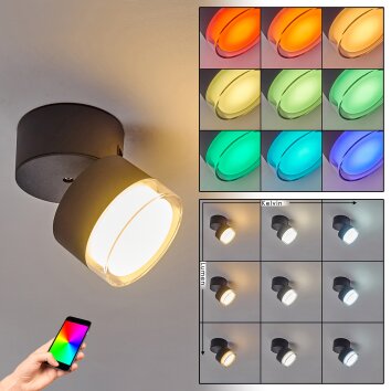 Papagayos Lámpara de techo para exterior LED Antracita, Blanca, 1 luz, Cambia de color