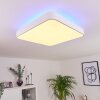 Batamoto Lámpara de Techo LED Blanca, 2 luces, Mando a distancia, Cambia de color
