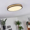 Kirtland Lámpara de Techo LED dorado, Negro, 1 luz