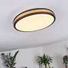 Kirtland Lámpara de Techo LED dorado, Negro, 1 luz