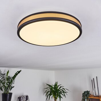 Kirtland Lámpara de Techo LED dorado, Negro, 1 luz
