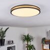 Kirtland Lámpara de Techo LED dorado, Negro, 1 luz