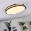 Kirtland Lámpara de Techo LED dorado, Negro, 1 luz