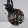 Sunasau Lámpara de Techo Negro, 2 luces