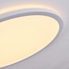Boyero Lámpara de Techo LED Blanca, 1 luz