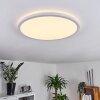 Boyero Lámpara de Techo LED Blanca, 1 luz