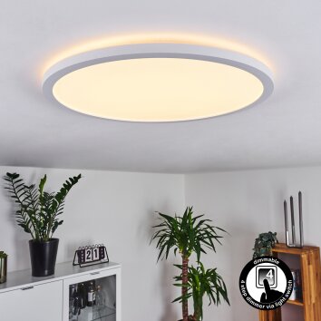 Boyero Lámpara de Techo LED Blanca, 1 luz