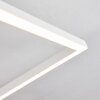 Pourao Lámpara de Techo LED Blanca, 1 luz