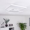 Pourao Lámpara de Techo LED Blanca, 1 luz