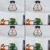 Denno Lámpara de Techo Cobre, Negro, 1 luz
