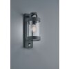 Trio Sambesi Aplique para exterior Antracita, 1 luz, Sensor de movimiento