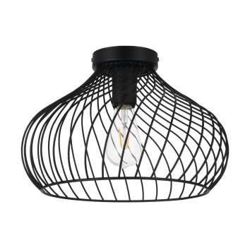 Eglo STAVERTON Lámpara de Techo Negro, 1 luz