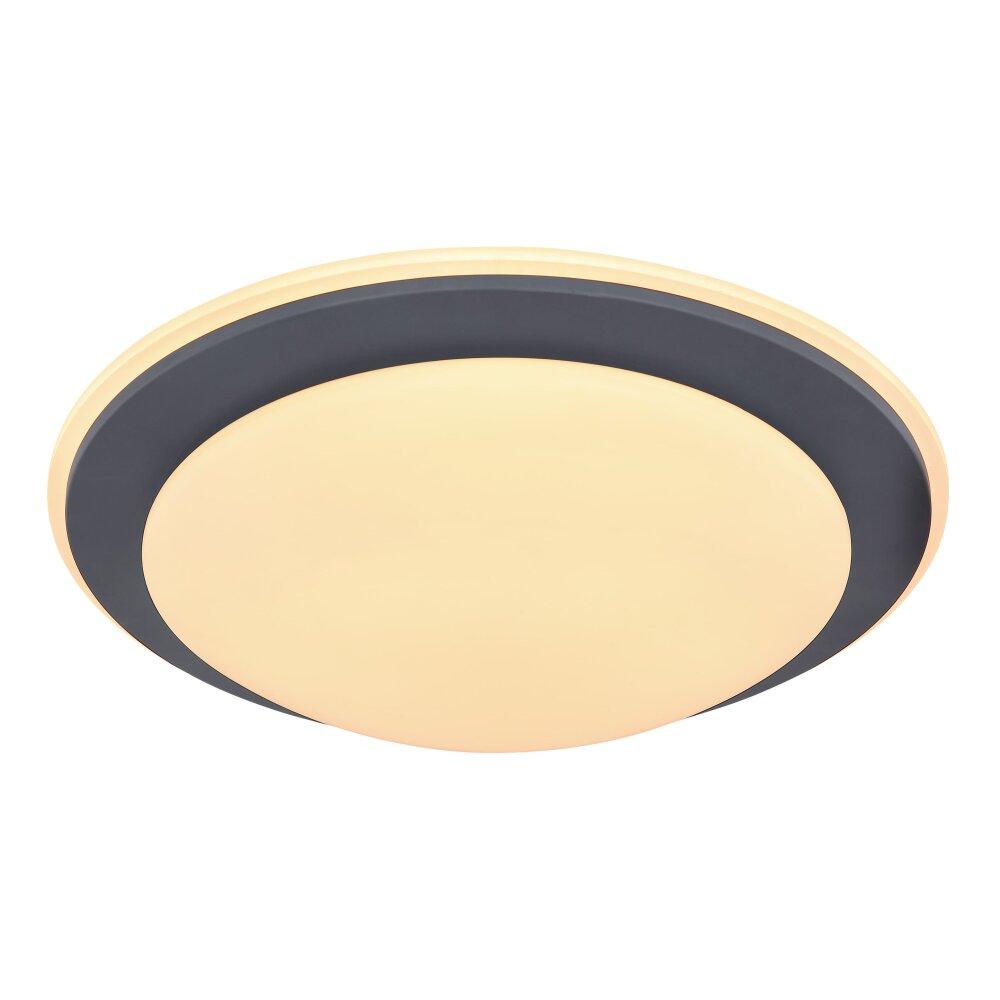 Globo DEGGI Lámpara de Techo LED Blanca, 1 luz main product photo